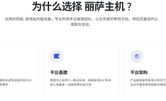 丽萨主机怎么样?丽萨主机vps主机测评和优惠码分享