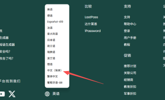 RoboForm注册与使用教程：最值得信赖的密码管理工具