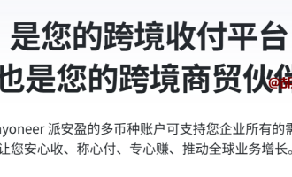 出海收款必备：派安盈（Payoneer）账号注册收款详细教程