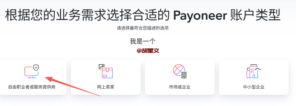 payoneer注册账户选择账户类型