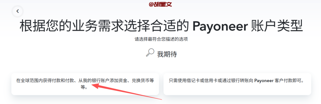 payoneer注册账户选择账户类型