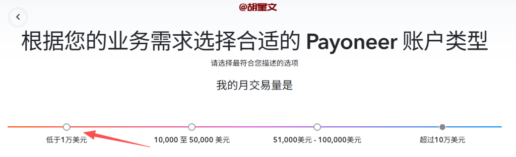 payoneer注册账户选择账户类型