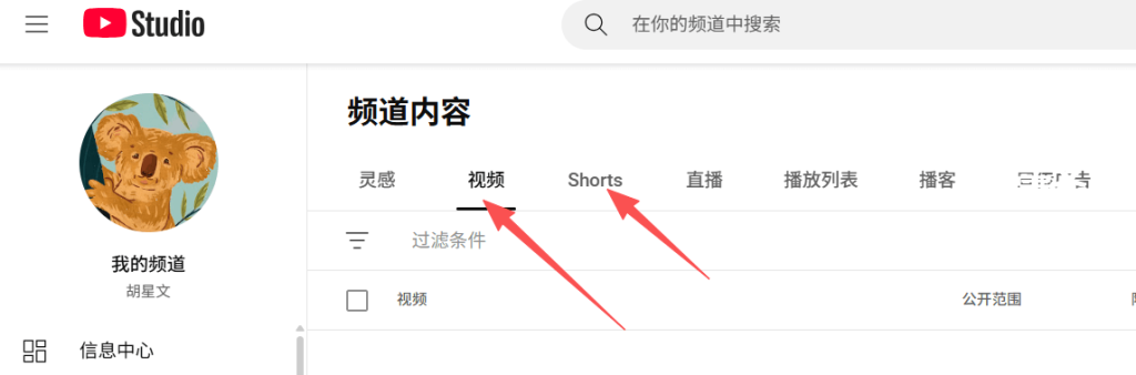 零成本搬运项目：ASMR视频+网盘出海赚美金