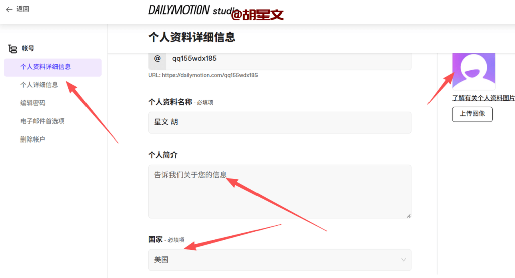 Dailymotion上传视频赚美金项目