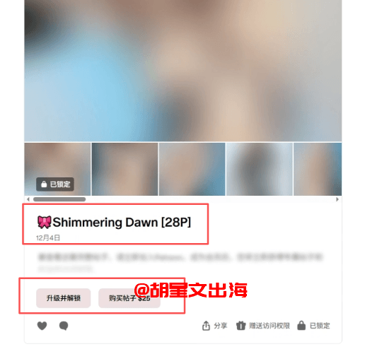 就是这种,锁起来,你想看?付25美金。