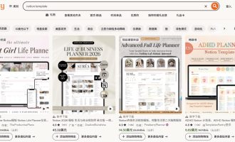 卖Notion/Gamma模板赚美金：0基础可做的海外副业被动收入