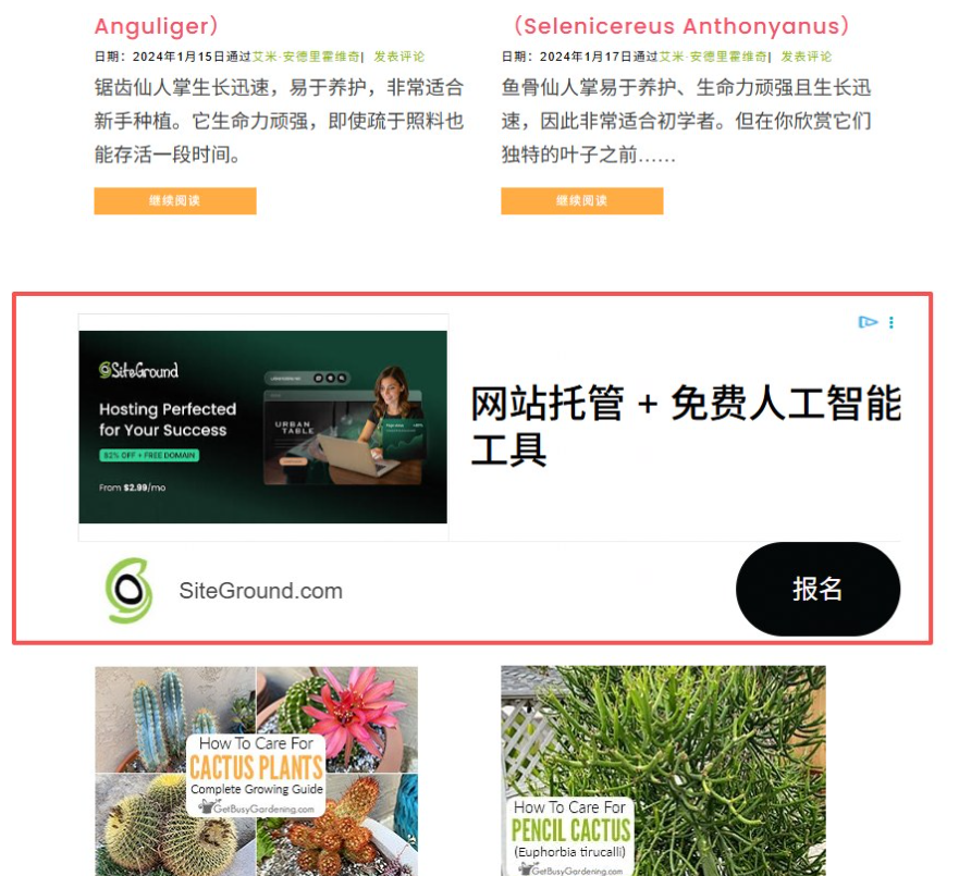 getbusygardening文章列表里插入的SiteGround展示广告位,红框标注,广告主付费网站按浏览量分成