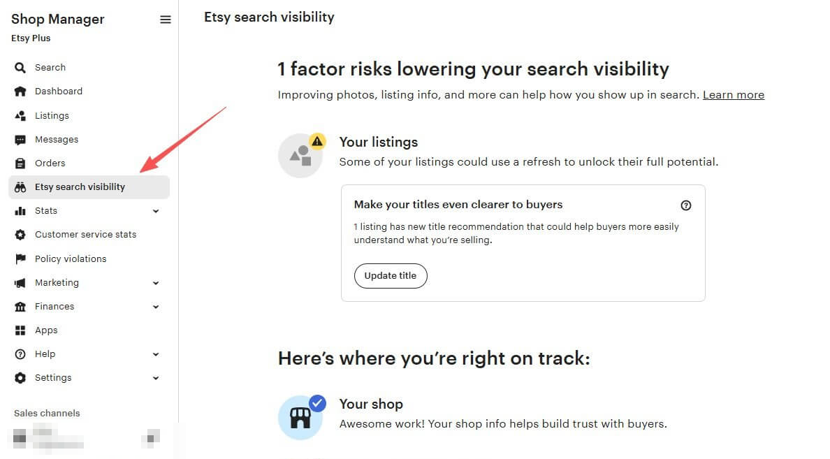 Etsy卖家后台的搜索可见性功能,逐条提示哪个商品的标题需要优化、哪些产品还有改进空间