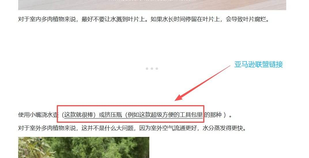 多肉植物站文章里挂的亚马逊联盟购买链接