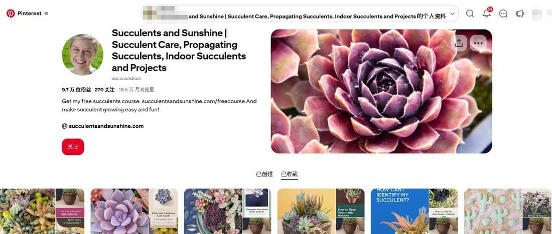 多肉植物站的Pinterest账号,是图片流量的主要来源