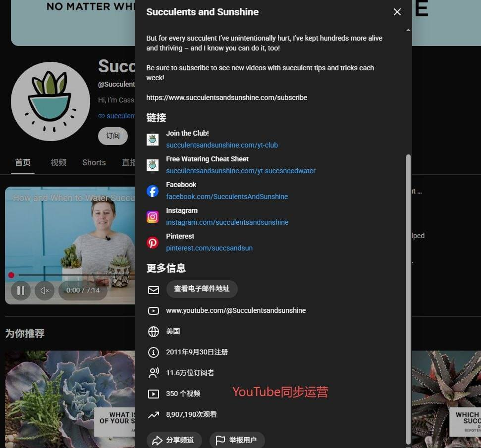 多肉植物站的YouTube频道和站外引流入口