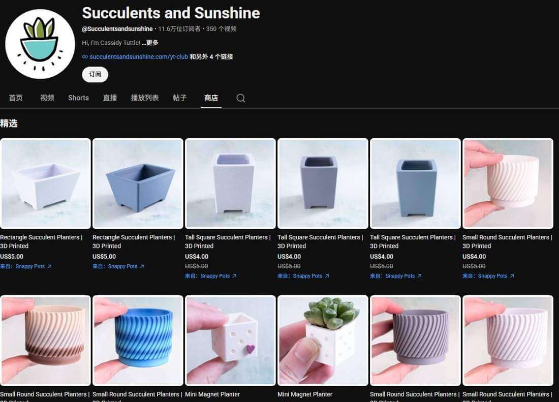 多肉植物站在YouTube挂的商品橱窗,花盆售价20美元起