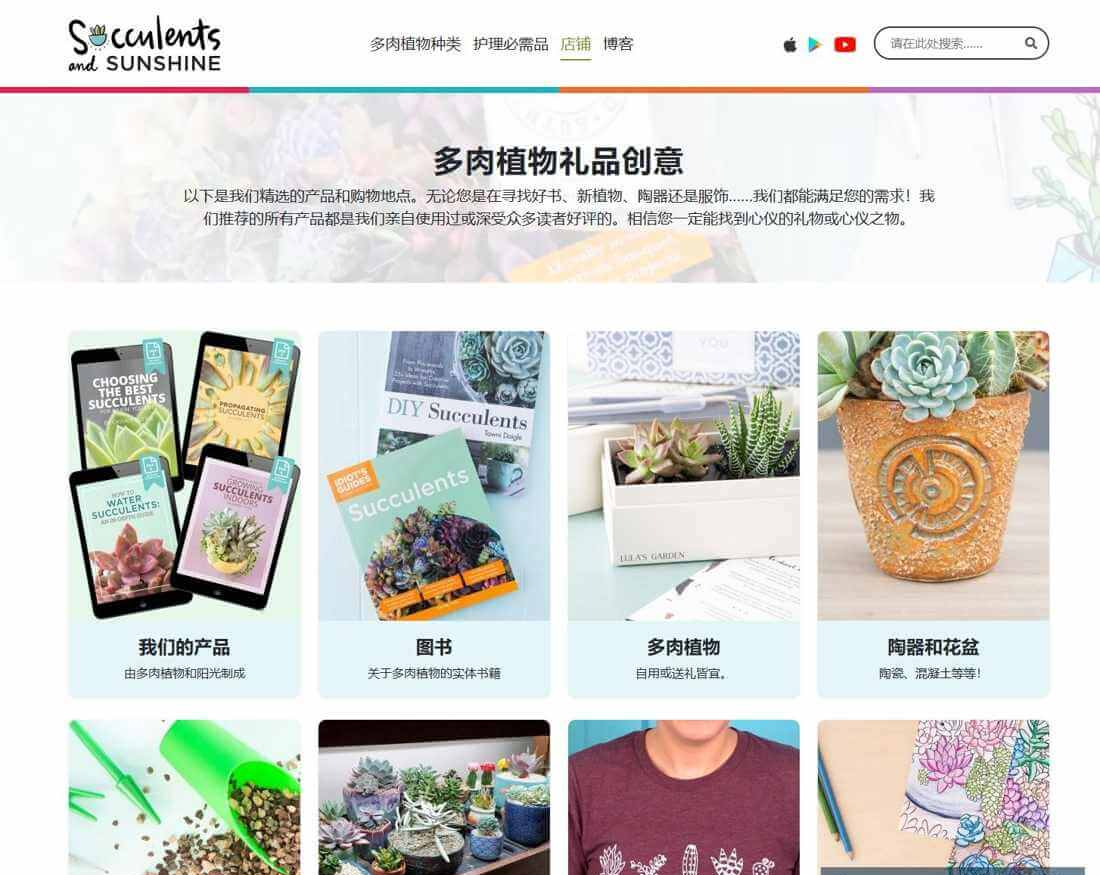多肉植物站的周边产品页面,有花盆、T恤和贺卡
