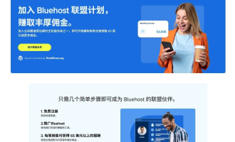 联盟营销佣金最高的10个Niche：怎么挑赚美金方向