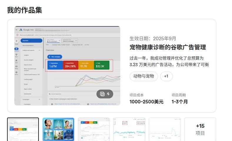 Fiverr卖家的作品集页面,一个宠物健康诊断项目管理3.23万美元广告预算,ROAS 284%,项目成本1000到2500美元