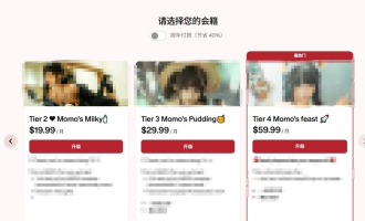 粉丝按月付钱：Patreon会员制赚美金完整教程