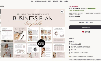 一套模板卖9到27美元：英文商业计划书数字产品，海外赚钱项目大全