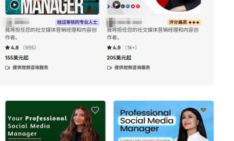海外社媒代运营赚美金：帮老外管账号按月收费