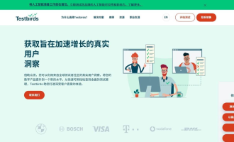 给宝马沃达丰挑软件毛病：Testbirds众测赚美金指南