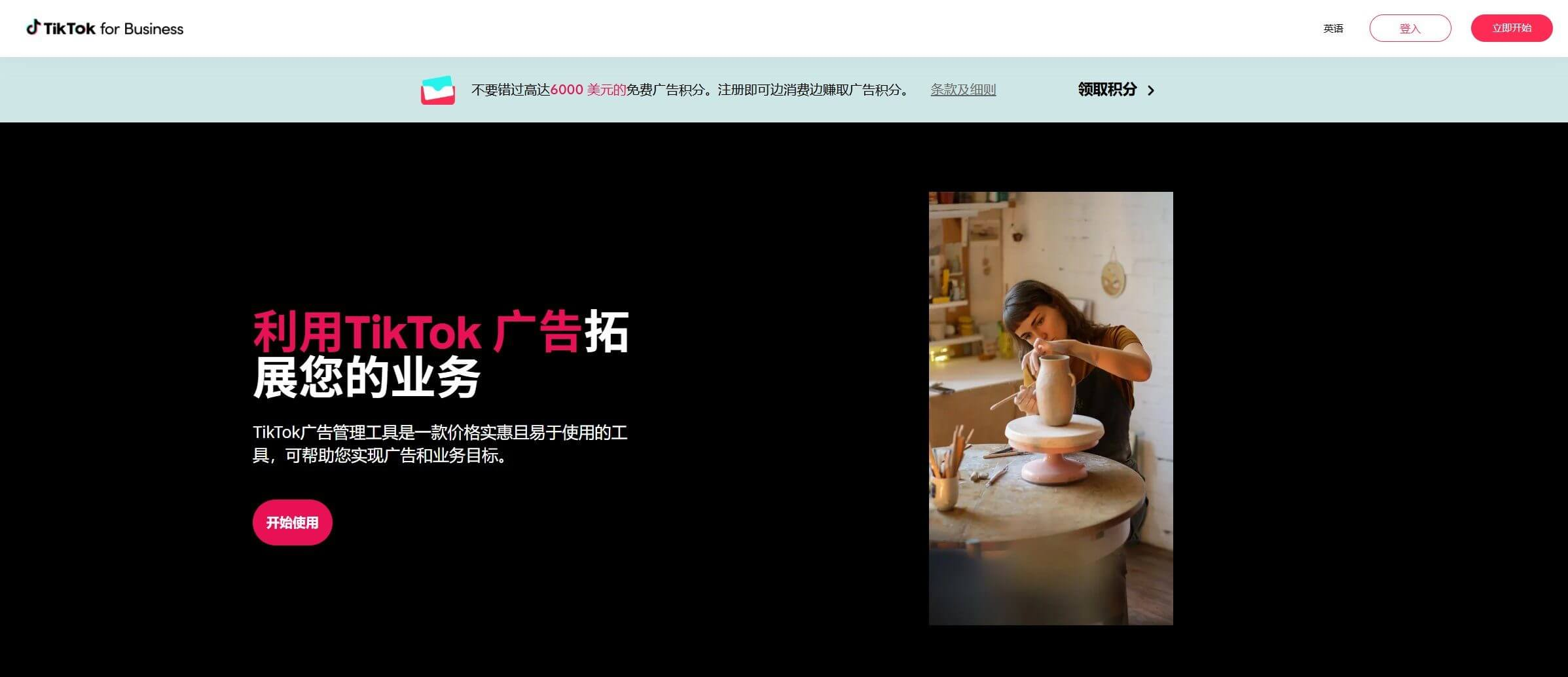 TikTok for Business的广告投放业务页面