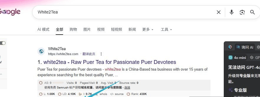 谷歌搜索White2Tea的结果页,这家做中国茶出海的独立站已经做了15年
