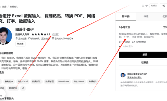 Excel接单赚美金：帮老外敲表格一单20美元，有人做了5200单