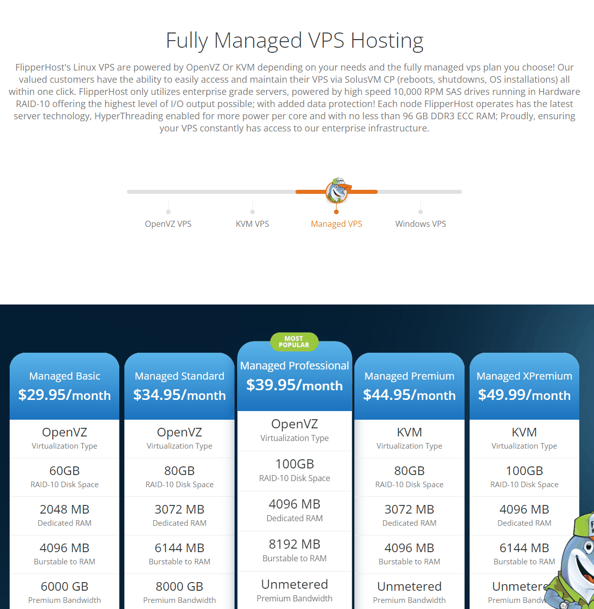 FlipperHost托管型VPS产品页