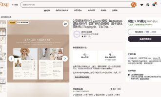 2026海外数字产品赚美金：做模板卖给国外网红