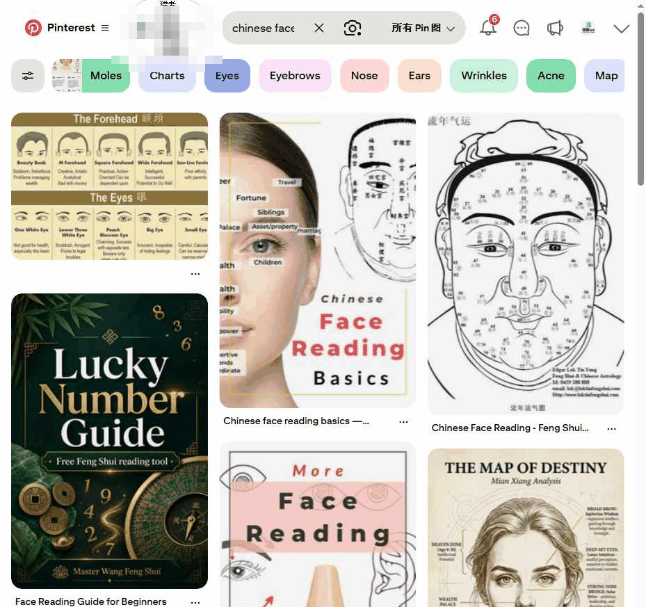 文化出海项目:Pinterest搜索chinese face reading的结果页,面相图解内容大量存在
