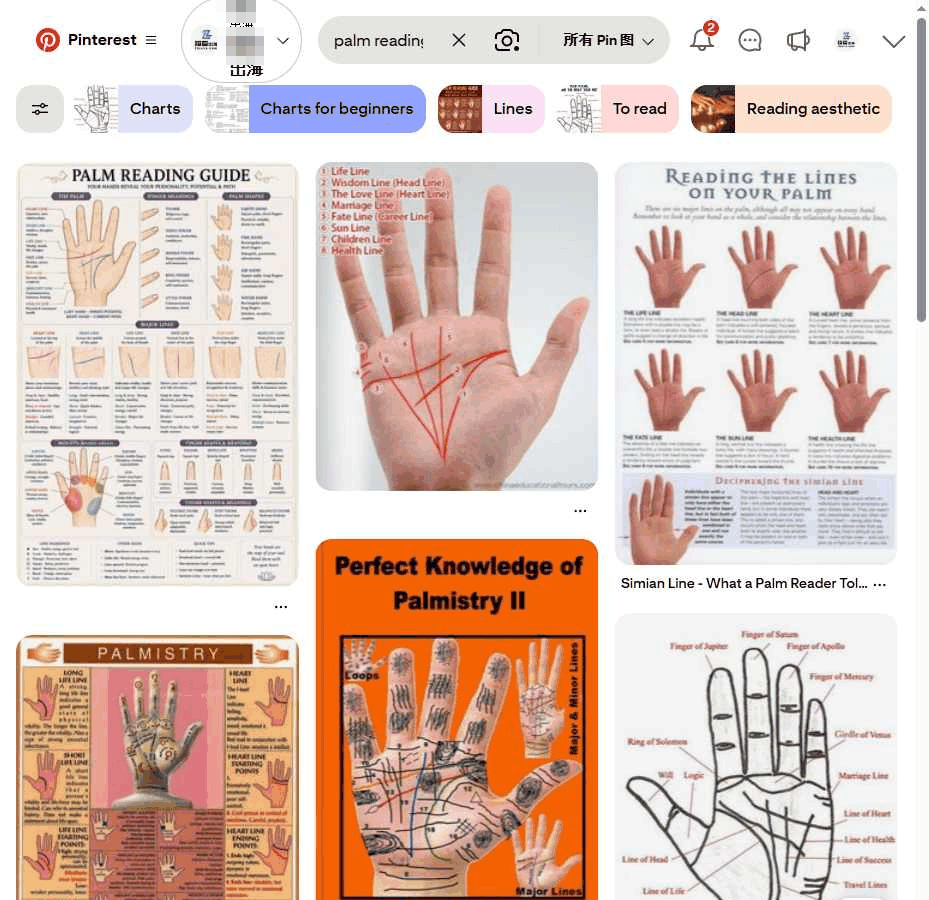 Pinterest搜索palm reading的手相知识图卡页面