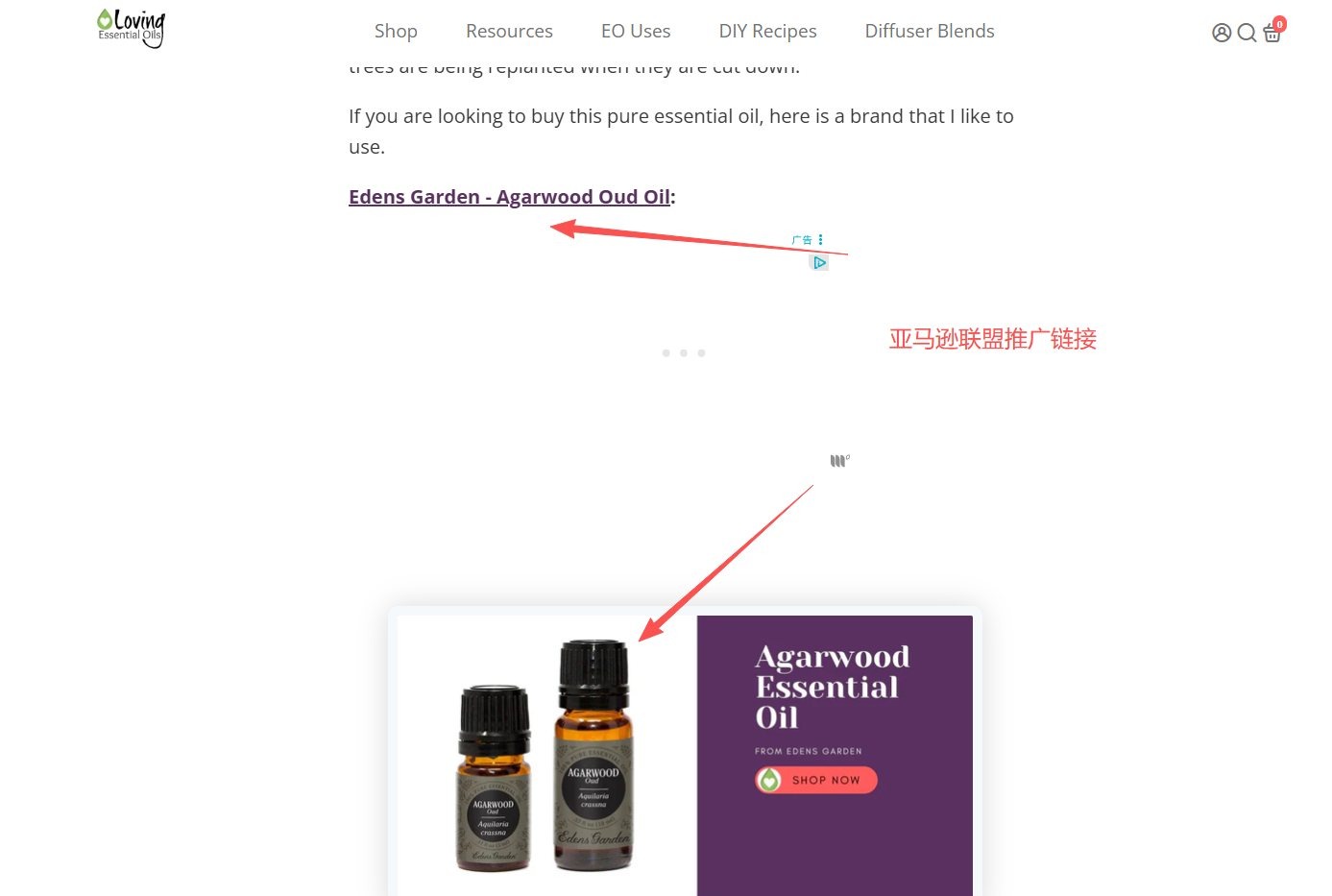 文章正文里挂着的联盟推广位,读者点过去买东西就分你佣金