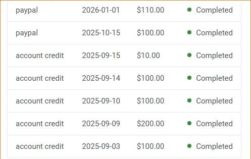 联盟营销佣金通过PayPal跨境到账的收款记录明细
