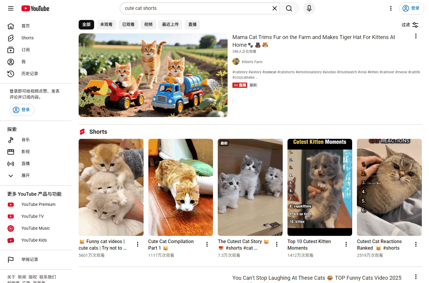 YouTube搜索cute cat shorts的结果页,大量宠物短视频频道