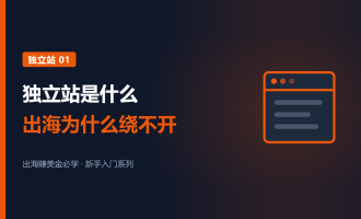 独立站是什么：出海赚美金为什么绕不开独立站
